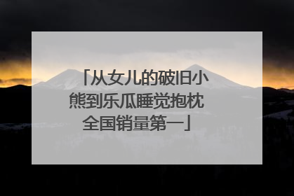 从女儿的破旧小熊到乐瓜睡觉抱枕全国销量第一