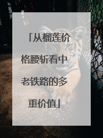 从榴莲价格腰斩看中老铁路的多重价值