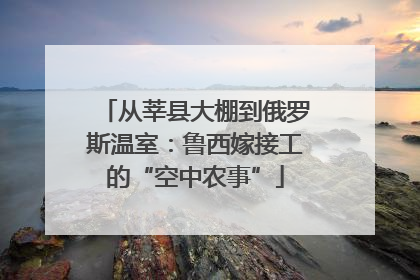 从莘县大棚到俄罗斯温室：鲁西嫁接工的“空中农事”
