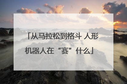 从马拉松到格斗 人形机器人在“赛”什么