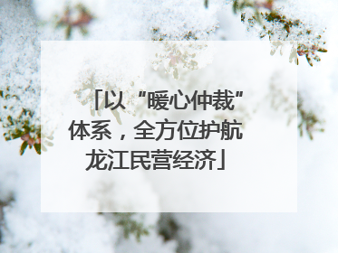 以“暖心仲裁”体系，全方位护航龙江民营经济