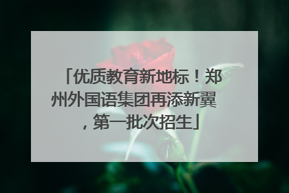 优质教育新地标！郑州外国语集团再添新翼，第一批次招生