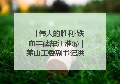 伟大的胜利·铁血丰碑耀江淮⑥｜茅山工委副书记洪天诚的亲笔信