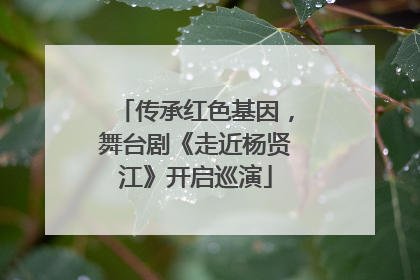 传承红色基因，舞台剧《走近杨贤江》开启巡演