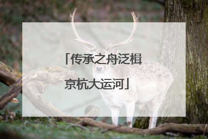 传承之舟泛楫京杭大运河
