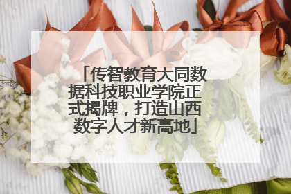传智教育大同数据科技职业学院正式揭牌，打造山西数字人才新高地