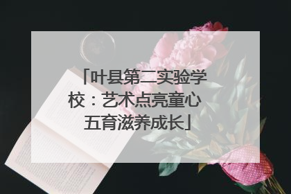 叶县第二实验学校：艺术点亮童心 五育滋养成长