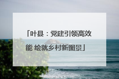 叶县：党建引领高效能 绘就乡村新图景