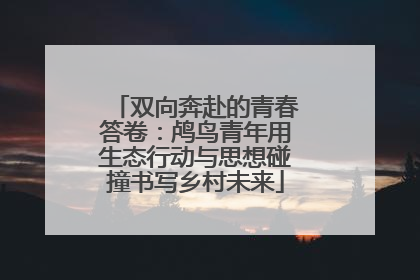 双向奔赴的青春答卷：鸬鸟青年用生态行动与思想碰撞书写乡村未来