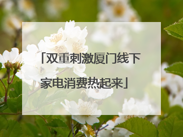 双重刺激厦门线下家电消费热起来