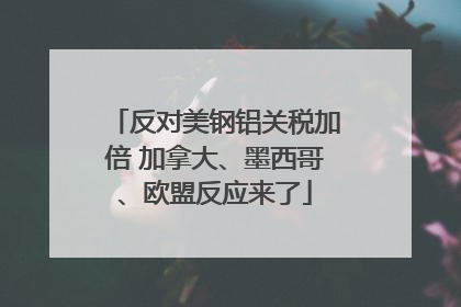 反对美钢铝关税加倍 加拿大、墨西哥、欧盟反应来了