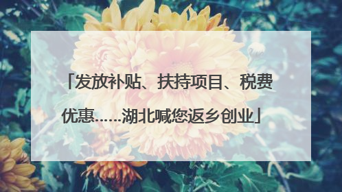 发放补贴、扶持项目、税费优惠……湖北喊您返乡创业