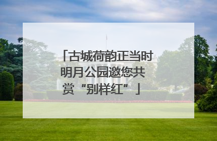 古城荷韵正当时 明月公园邀您共赏“别样红”