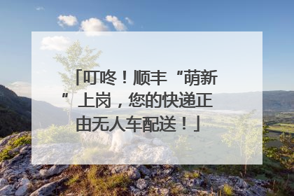 叮咚！顺丰“萌新”上岗，您的快递正由无人车配送！