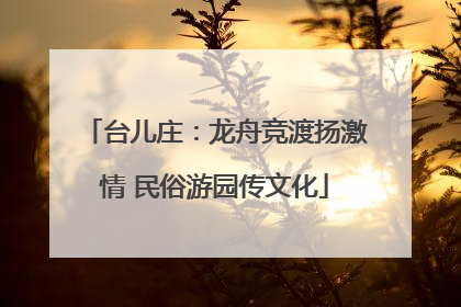 台儿庄：龙舟竞渡扬激情 民俗游园传文化