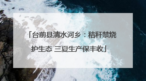 台前县清水河乡：秸秆禁烧护生态 三夏生产保丰收