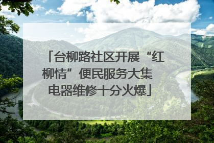 台柳路社区开展“红柳情”便民服务大集 电器维修十分火爆