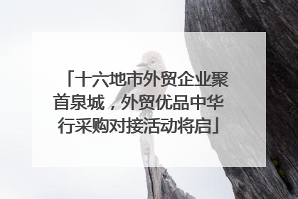 十六地市外贸企业聚首泉城，外贸优品中华行采购对接活动将启