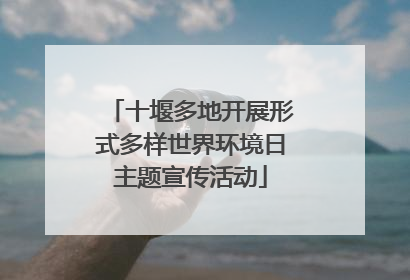 十堰多地开展形式多样世界环境日主题宣传活动