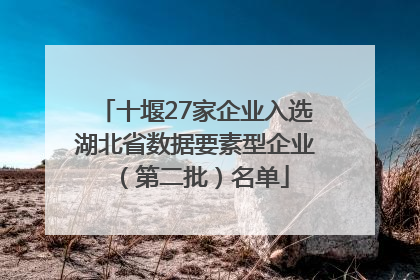 十堰27家企业入选湖北省数据要素型企业（第二批）名单