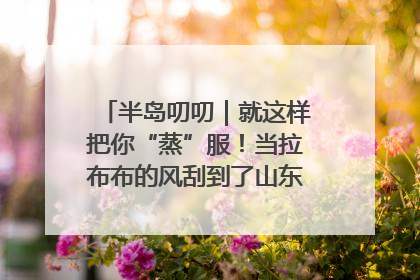 半岛叨叨｜就这样把你“蒸”服！当拉布布的风刮到了山东馒头界……