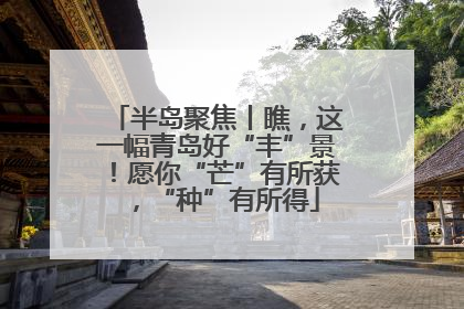 半岛聚焦丨瞧，这一幅青岛好“丰”景！愿你“芒”有所获，“种”有所得