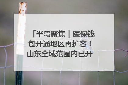 半岛聚焦｜医保钱包开通地区再扩容！山东全域范围内已开通，有何用处？如何操作？速戳→