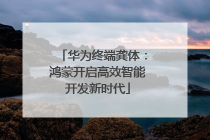华为终端龚体：鸿蒙开启高效智能开发新时代