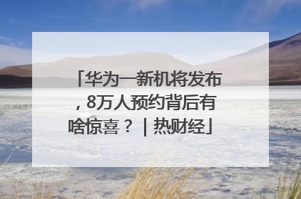 华为一新机将发布，8万人预约背后有啥惊喜？｜热财经