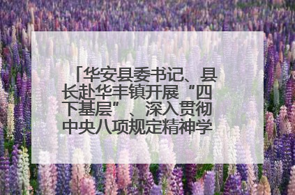 华安县委书记、县长赴华丰镇开展“四下基层”、深入贯彻中央八项规定精神学习教育工作调研