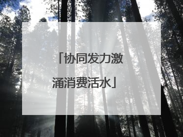 协同发力激涌消费活水