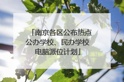 南京各区公布热点公办学校、民办学校电脑派位计划