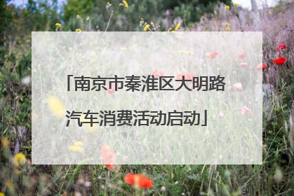 南京市秦淮区大明路汽车消费活动启动