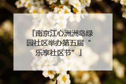 南京江心洲洲岛绿园社区举办第五届“乐享社区节”