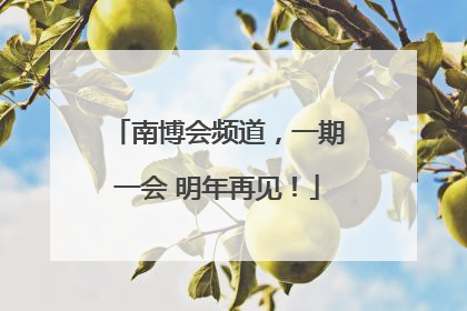 南博会频道，一期一会 明年再见！