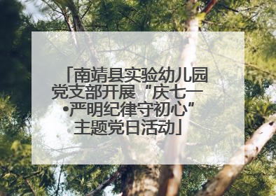 南靖县实验幼儿园党支部开展“庆七一•严明纪律守初心”主题党日活动