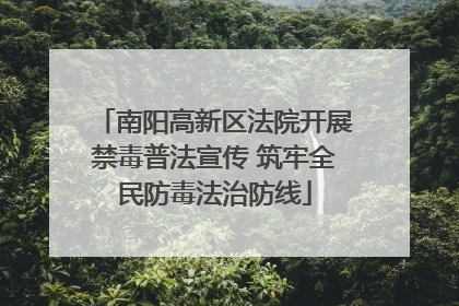 南阳高新区法院开展禁毒普法宣传 筑牢全民防毒法治防线
