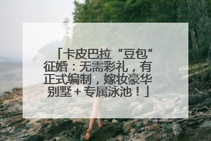 卡皮巴拉“豆包”征婚：无需彩礼，有正式编制，嫁妆豪华别墅＋专属泳池！