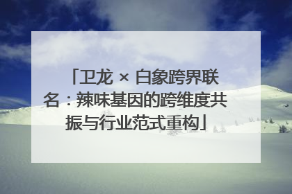 卫龙 × 白象跨界联名：辣味基因的跨维度共振与行业范式重构