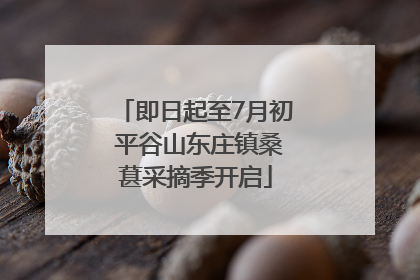 即日起至7月初 平谷山东庄镇桑葚采摘季开启
