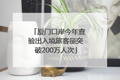 厦门口岸今年查验出入境旅客量突破200万人次