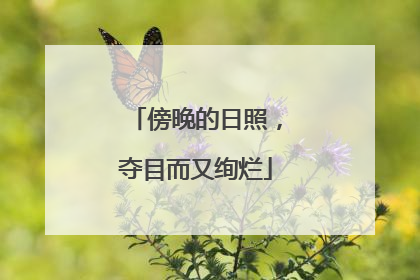 傍晚的日照，夺目而又绚烂