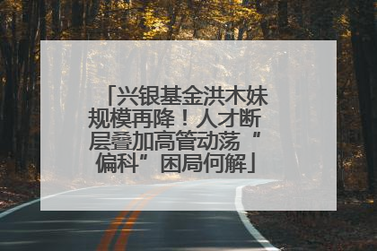 兴银基金洪木妹规模再降！人才断层叠加高管动荡“偏科”困局何解