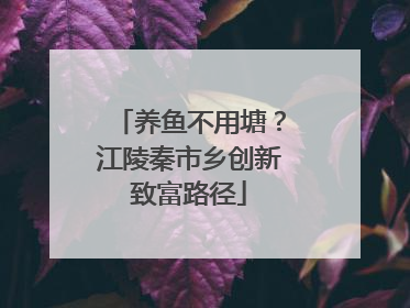 养鱼不用塘？江陵秦市乡创新致富路径