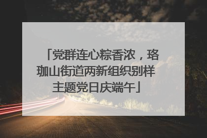 党群连心粽香浓，珞珈山街道两新组织别样主题党日庆端午