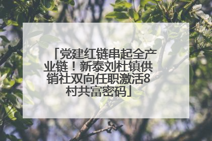党建红链串起全产业链！新泰刘杜镇供销社双向任职激活8村共富密码