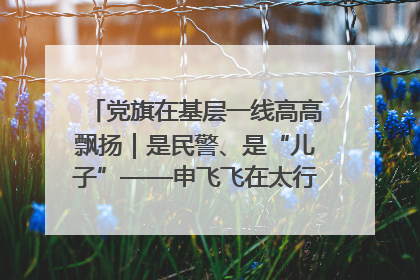 党旗在基层一线高高飘扬｜是民警、是“儿子”——申飞飞在太行山中的一线坚守