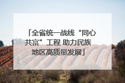 全省统一战线“同心共富”工程 助力民族地区高质量发展