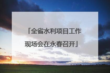 全省水利项目工作现场会在永春召开
