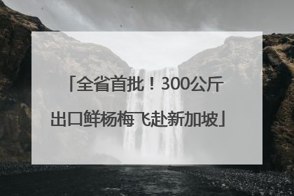 全省首批！300公斤出口鲜杨梅飞赴新加坡